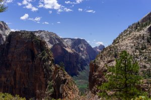 20210428ZionNP_D1086.jpg